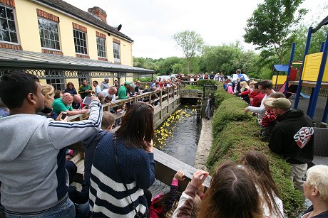 Swindon Duck Race 2016