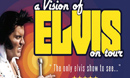 A Vision Of Elvis