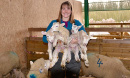 Lambing Time