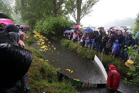 Swindon Duck Race 2017