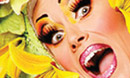 Priscilla Queen of the Desert