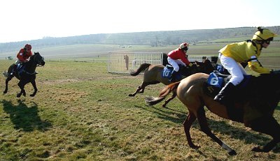 Point-to-point racing at Barbury Castle, near Swindon