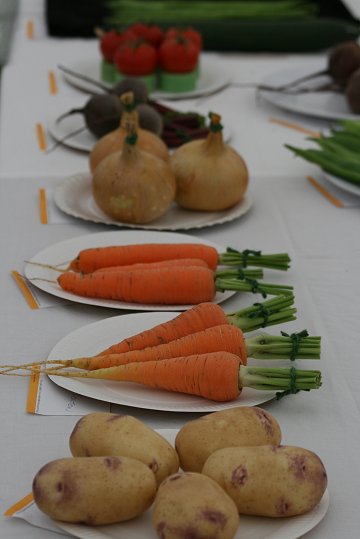 Swindon Garden Show 2008