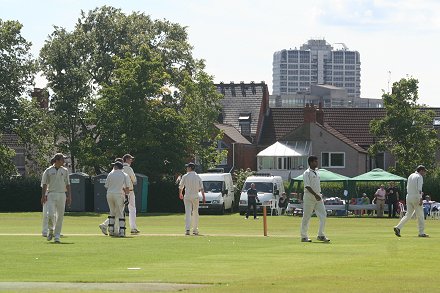 Swindon Cricket Festival 2008