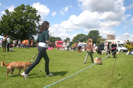 Liddington Swindon Dog Show 2008