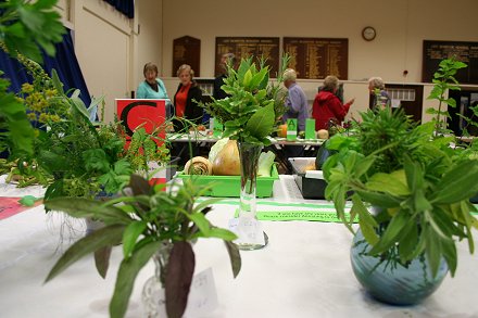 Highworth Produce and Craft Show 2008