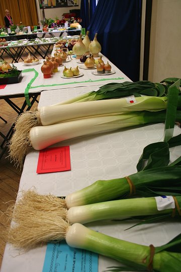 Highworth Produce and Craft Show 2008