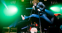 Pigeon Detectives