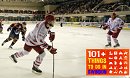 SWINDON WILDCATS