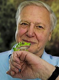 Sir David Attenborough, set to appear in Swindon