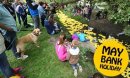 Swindon's Famous Duck Race 2015