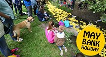 Swindon's Famous Duck Race 2015