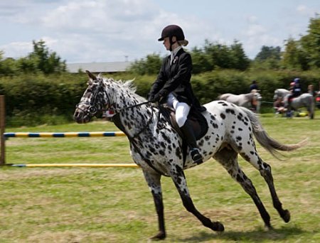 Wanborough Horse & Dog Show 2010