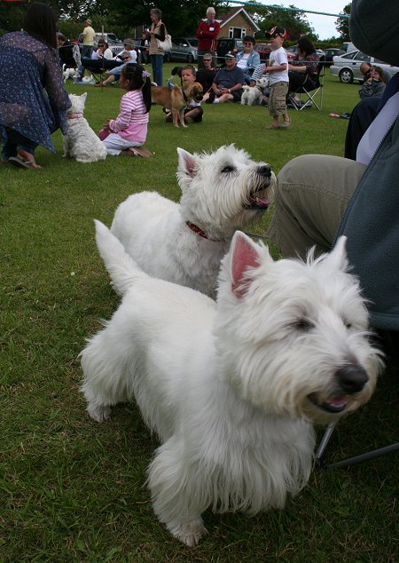  Liddington Fete and Dog Show 2009