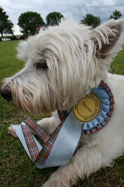 Liddington Dog Show 2009