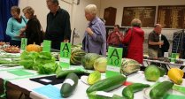 Highworth Produce and Craft Show 2010