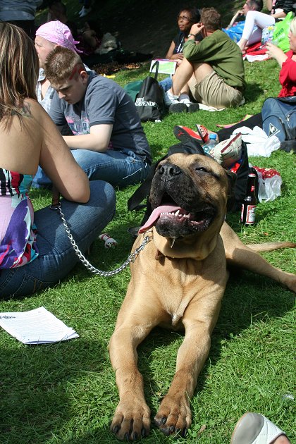 Swindon Pride 2009