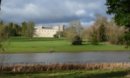 Free guided tree walk brings Lydiard to life