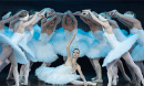 Russian State Ballet: Swan Lake