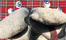 Scottish Falsetto Sock Puppets and Ali Cook