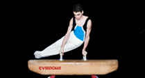 Give Gymnastics a Go!