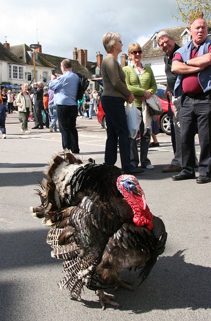 Highworth May Day celebrations 2010