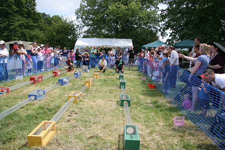 Strawberries and Steam, Lotmead Farm, Swindon 2010 