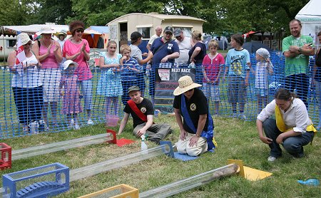 Strawberries and Steam, Lotmead Farm, Swindon 2010