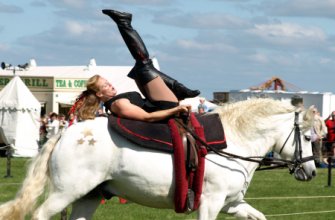 Uffington White Horse Show 2010
