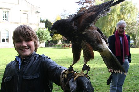 Falconry in Swindon at the Chiseldon House Hotel