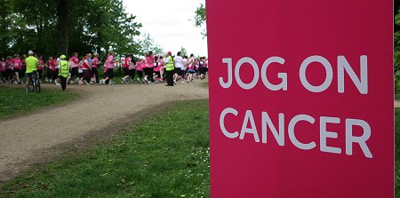 Swindon Race For Life 2013, Lydiard Park