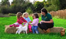 Hedgerow Harvest at Roves Farm