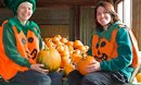 Pumpkins at Roves Farm