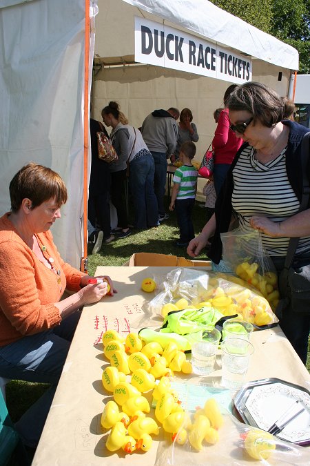 Swindon Duck Race 2013