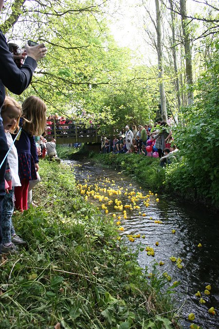 Swindon Duck Race 2013