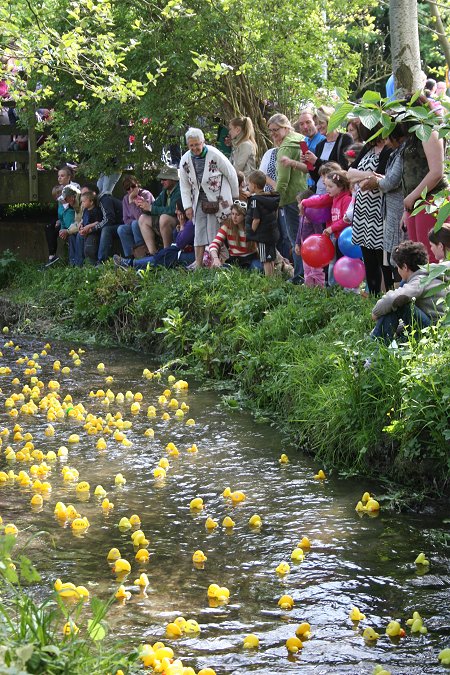 Swindon Duck Race 2013