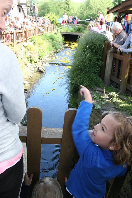 Swindon Duck Race 2013