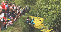 Swindon's Famous Duck Race 2013