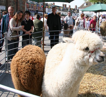 Highworth Elizabethan May Day Market 30 April 2011