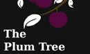 Live Music at The Plum Tree