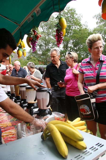 Swindon Mela 2011, Town Gardens, Swindon