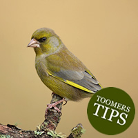 Toomers Gardening Tips