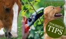Toomers Tips for April