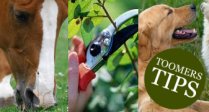 Toomers Tips for April