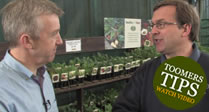Keeping Your Garden Watered