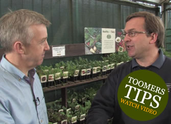 Keeping Your Garden Watered