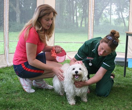 Thameswood Vets Canine Check Up Swindon