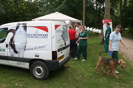 Thameswood Vets Canine Check Up Swindon