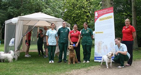 Thameswood Vets Canine Check Ups