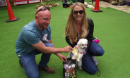 Four Legged Life-Savers!
